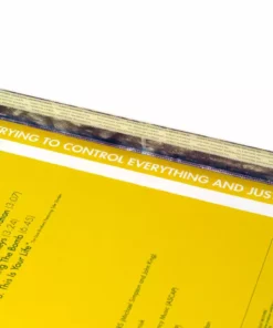 The Dust Brothers Fight Club – Original Motion Picture Soundtrack 2XLP