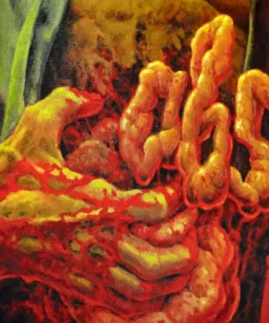 Carlo Maria Cordio Music Absurd (Rosso Sangue) Original Motion Picture Soundtrack 2XLP 5 Carlo Maria Cordio Music Absurd (Rosso Sangue) Original Motion Picture Soundtrack 2XLP