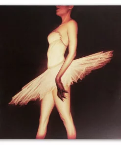 Clint Mansell Black Swan – Original Motion Picture Soundtrack 2XLP Music 7 Clint Mansell Black Swan – Original Motion Picture Soundtrack 2XLP Music